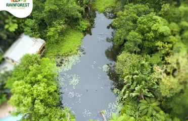 Rainforest Eco Resort Fiji