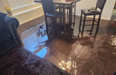 Rapid Response Flood Restoration